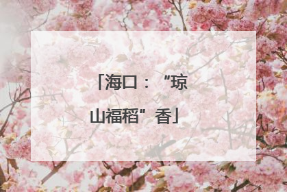 海口：“琼山福稻”香