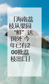 海南荔枝从果园“鲜”达国外 今年已有200批荔枝出口