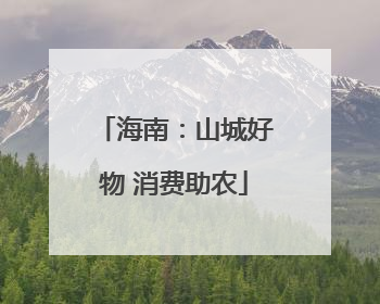 海南：山城好物 消费助农