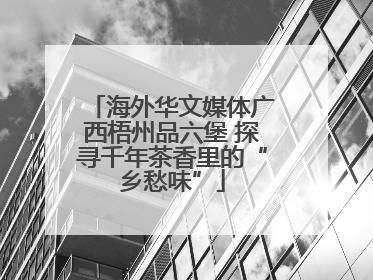 海外华文媒体广西梧州品六堡 探寻千年茶香里的“乡愁味”