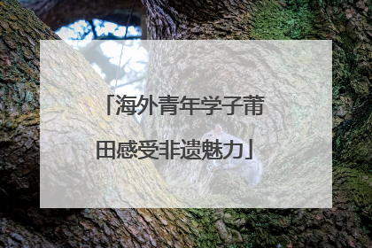 海外青年学子莆田感受非遗魅力