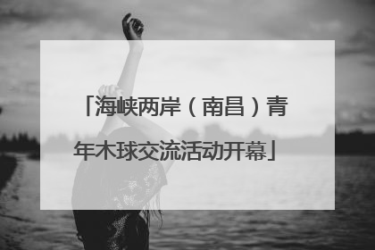 海峡两岸（南昌）青年木球交流活动开幕