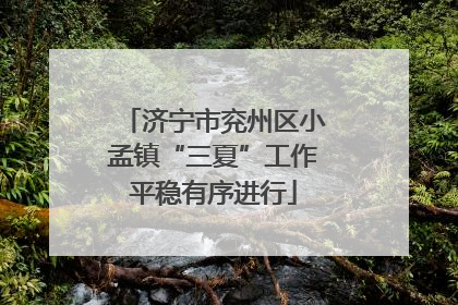 济宁市兖州区小孟镇“三夏”工作平稳有序进行