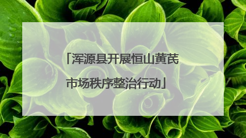 浑源县开展恒山黄芪市场秩序整治行动