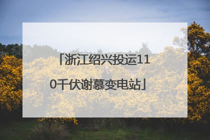 浙江绍兴投运110千伏谢慕变电站