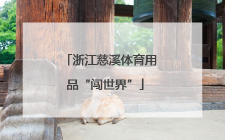 浙江慈溪体育用品“闯世界”