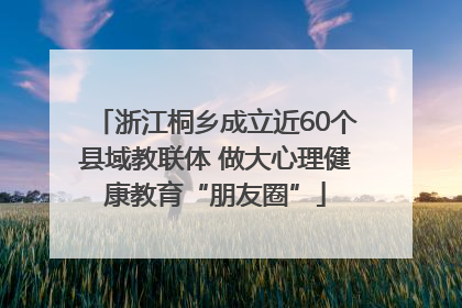 浙江桐乡成立近60个县域教联体 做大心理健康教育“朋友圈”