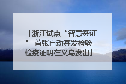 浙江试点“智慧签证” 首张自动签发检验检疫证明在义乌发出