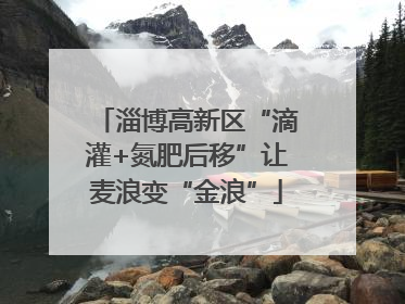 淄博高新区“滴灌+氮肥后移”让麦浪变“金浪”