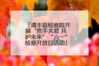 清丰县检察院开展“携手关爱 共护未来”“六一”检察开放日活动