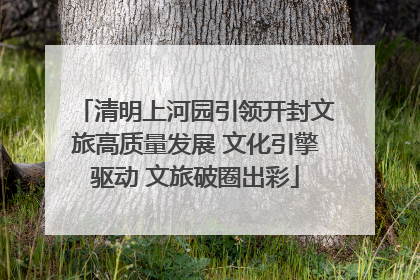 清明上河园引领开封文旅高质量发展 文化引擎驱动 文旅破圈出彩