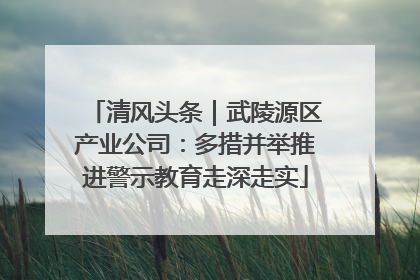 清风头条｜武陵源区产业公司：多措并举推进警示教育走深走实