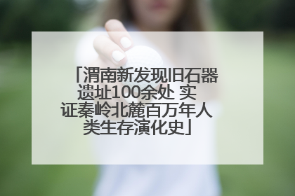 渭南新发现旧石器遗址100余处 实证秦岭北麓百万年人类生存演化史