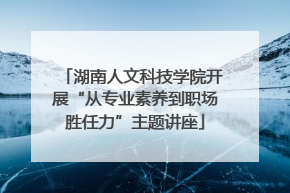 湖南人文科技学院开展“从专业素养到职场胜任力”主题讲座