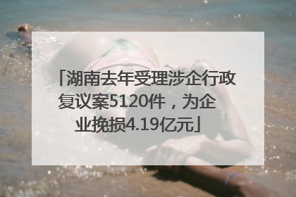 湖南去年受理涉企行政复议案5120件，为企业挽损4.19亿元