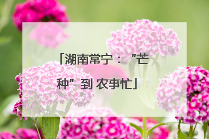 湖南常宁：“芒种”到 农事忙