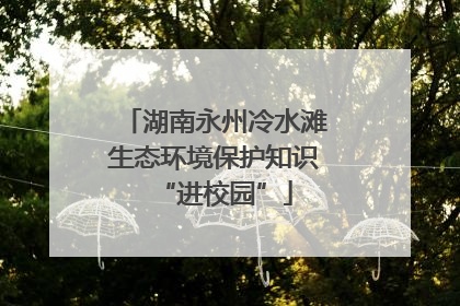 湖南永州冷水滩生态环境保护知识“进校园”