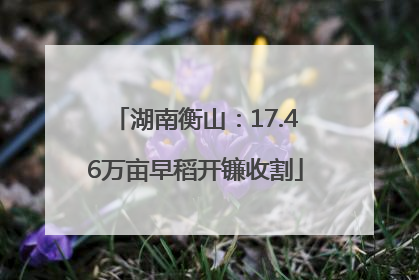 湖南衡山：17.46万亩早稻开镰收割