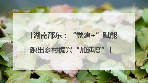 湖南邵东：“党建+”赋能 跑出乡村振兴“加速度”