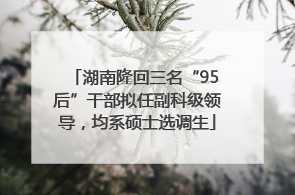 湖南隆回三名“95后”干部拟任副科级领导，均系硕士选调生