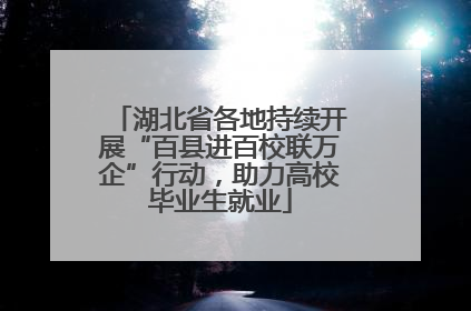 湖北省各地持续开展“百县进百校联万企”行动，助力高校毕业生就业