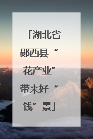 湖北省郧西县“花产业”带来好“钱”景