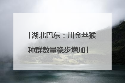 湖北巴东：川金丝猴种群数量稳步增加