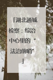 湖北通城检察：综治中心里的“法治前哨”