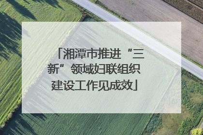 湘潭市推进“三新”领域妇联组织建设工作见成效