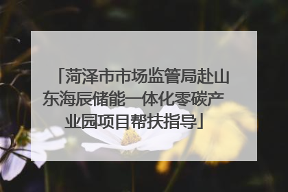 菏泽市市场监管局赴山东海辰储能一体化零碳产业园项目帮扶指导