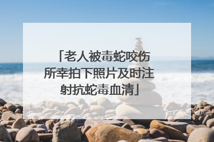 老人被毒蛇咬伤 所幸拍下照片及时注射抗蛇毒血清