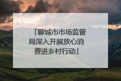 聊城市市场监管局深入开展放心消费进乡村行动