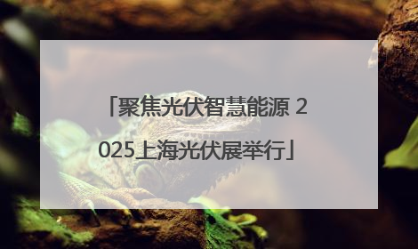 聚焦光伏智慧能源 2025上海光伏展举行