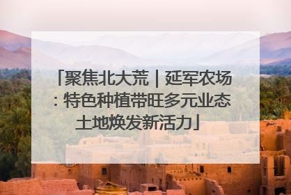 聚焦北大荒｜延军农场：特色种植带旺多元业态 土地焕发新活力