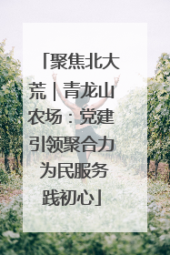 聚焦北大荒｜青龙山农场：党建引领聚合力 为民服务践初心