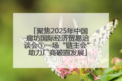 聚焦2025年中国·廊坊国际经济贸易洽谈会③一场“链主会” 助力厂商破圈发展