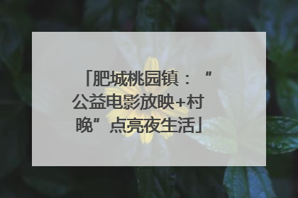 肥城桃园镇：“公益电影放映+村晚”点亮夜生活