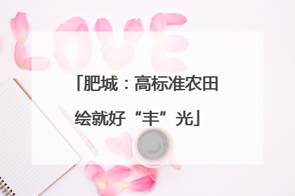 肥城：高标准农田绘就好“丰”光