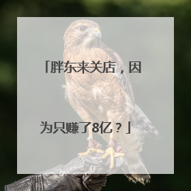 胖东来关店，因为只赚了8亿？