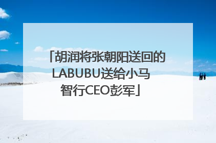 胡润将张朝阳送回的LABUBU送给小马智行CEO彭军