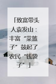 致富带头人袁发山：丰富“菜篮子”鼓起了农民“钱袋子”
