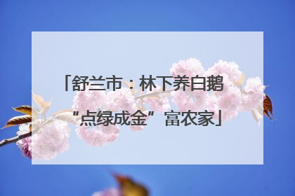 舒兰市：林下养白鹅 “点绿成金”富农家