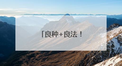 良种+良法！新乡延津县试验田小麦刷新黄淮麦区高产记录