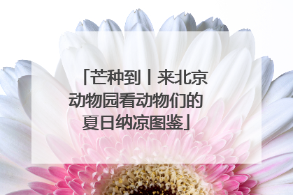 芒种到丨来北京动物园看动物们的夏日纳凉图鉴