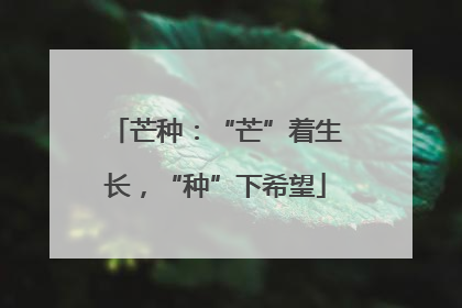 芒种：“芒”着生长，“种”下希望