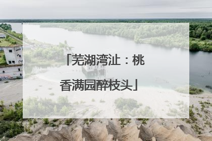 芜湖湾沚：桃香满园醉枝头