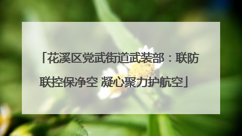 花溪区党武街道武装部：联防联控保净空 凝心聚力护航空