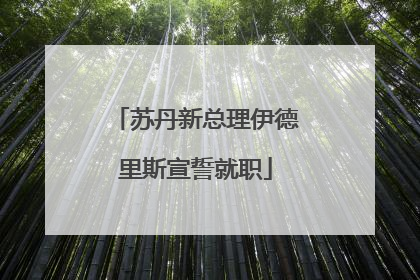 苏丹新总理伊德里斯宣誓就职