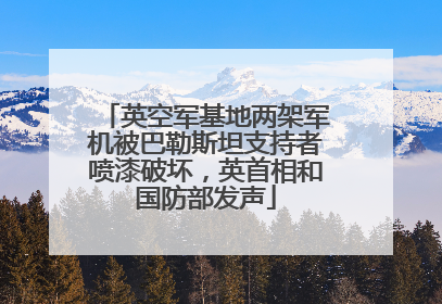 英空军基地两架军机被巴勒斯坦支持者喷漆破坏，英首相和国防部发声