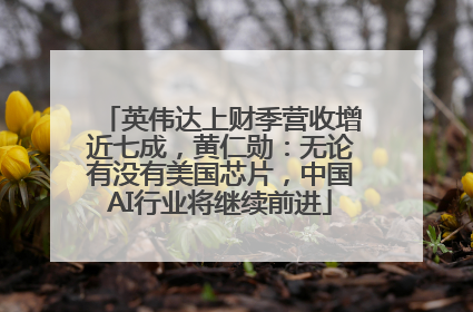 英伟达上财季营收增近七成，黄仁勋：无论有没有美国芯片，中国AI行业将继续前进